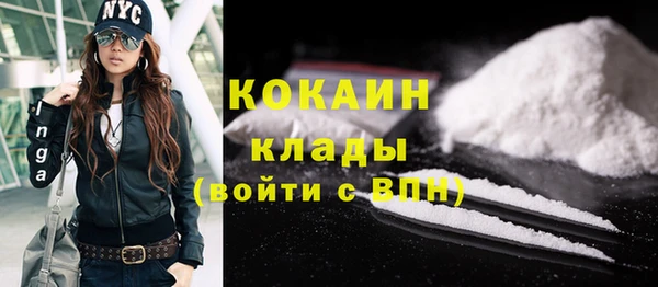 шишки Медвежьегорск