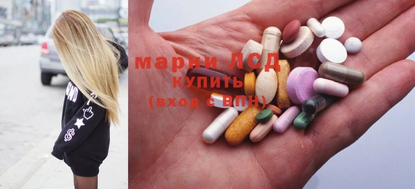 шишки Медвежьегорск