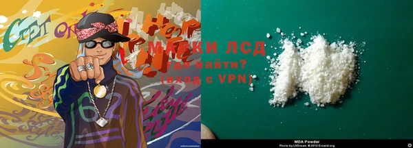 шишки Медвежьегорск