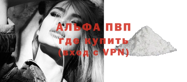 шишки Медвежьегорск