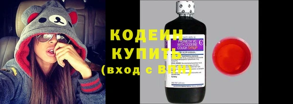 шишки Медвежьегорск