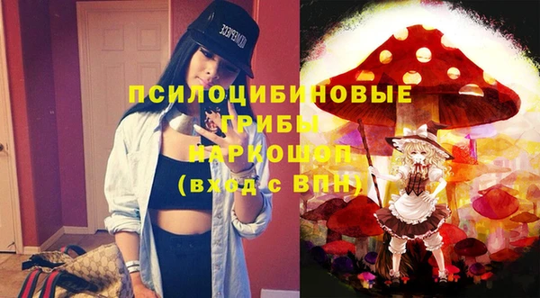 шишки Медвежьегорск