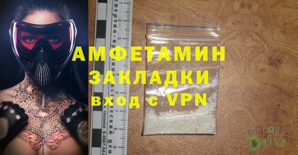 шишки Медвежьегорск