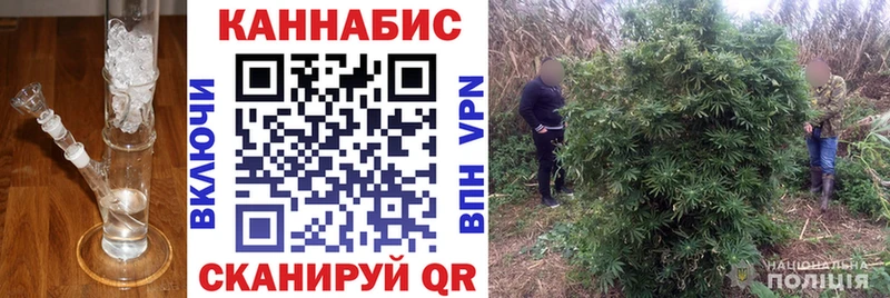 Каннабис семена Горбатов